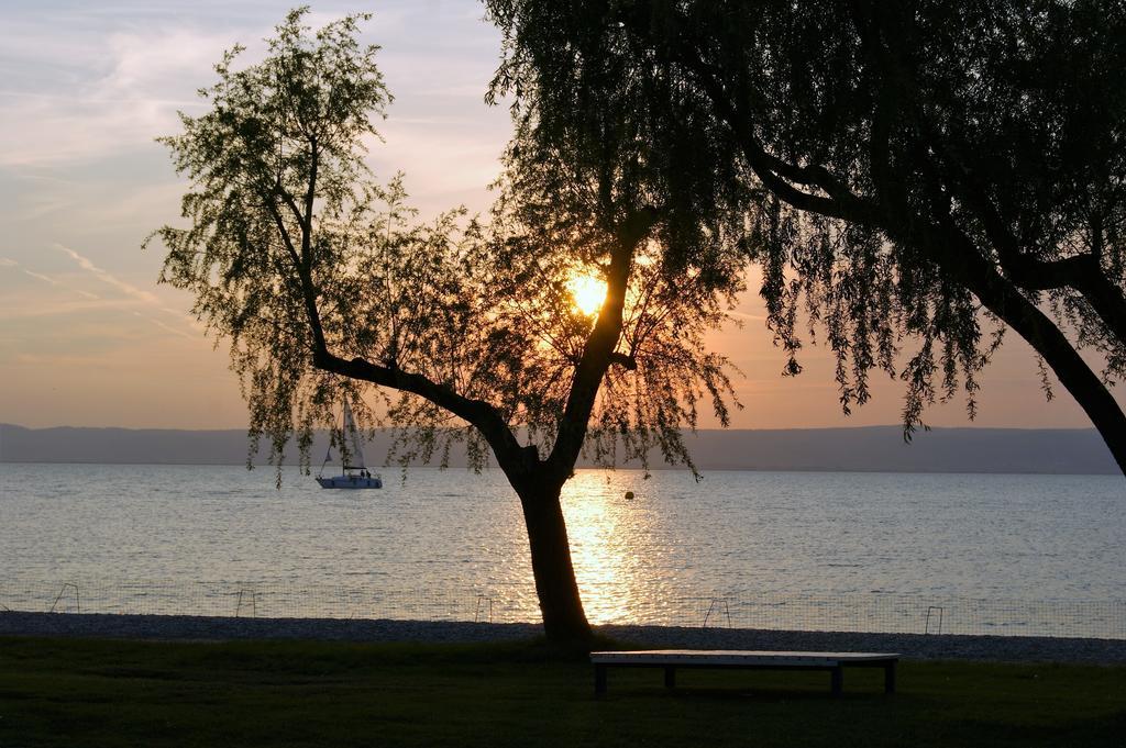 Die Pension Reeh Podersdorf am See Εξωτερικό φωτογραφία